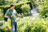 Gloria Haus und Garten 000910.0000 AutoPump Set Accu-druksproeier 5 l - thumbnail