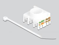 RJ45 LSA keystone - thumbnail