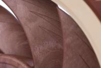 Noctua NF-A12x25 PWM case fan - thumbnail