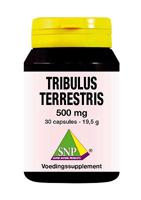 SNP Tribulus terrestris 500mg 30 Vegetarische capsules - thumbnail