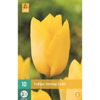 Tulp strong gold 7 bollen - thumbnail