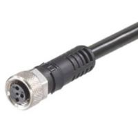 Molex 1200868660 Sensor/actuator connector, geassembleerd Aantal polen (sensoren): 4 Bus 2.00 m 1 stuk(s) - thumbnail