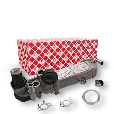 Pip Studio Flora Top Korte Mouw Matata Groen XL Pip Studio Flora Top Korte Mouw Matata Groen XL