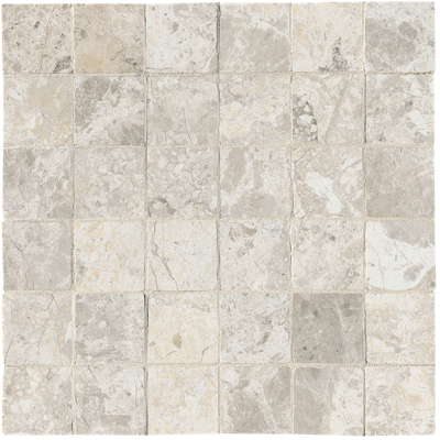 Nativa White macro mosaico zijde glans anticato 5x5 op net v Nativa White macro mosaico zijde glans anticato 5x5 op net v