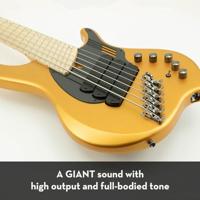 DR Strings Dragon Skin+ Coated Multi-Scale Tapered 30-125 St. Steel voor 6-snarige elektrische basgitaar - thumbnail