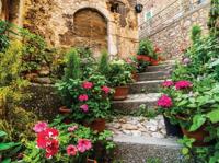 Trap met geraniums 70x50cm Tuinschilderij Customize-it - Customize it - thumbnail