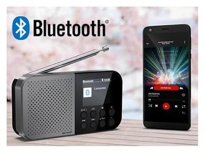 Sharp Outdoorradio FM, DAB Bluetooth Acculaadfunctie, Voelbare toetsen Zwart - thumbnail