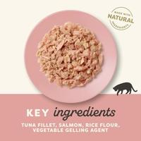 APPLAWS Tuna fillet with salmon in jelly - nat kattenvoer - 70g - thumbnail