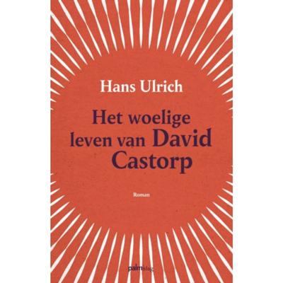 Het woelige leven van David Castorp (Paperback)