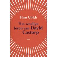 Het woelige leven van David Castorp (Paperback) - thumbnail