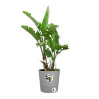 ELHO - Bloempot - Greensense Aqua Care Rond 30 - Licht Cement - Binnen/buiten - Ø 29,5 x H 29,1 cm - thumbnail