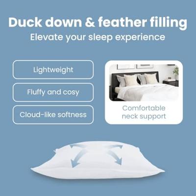 VidaXL Hoofdkussen met kussen 2 pcs wit 40 x 40 cm veren