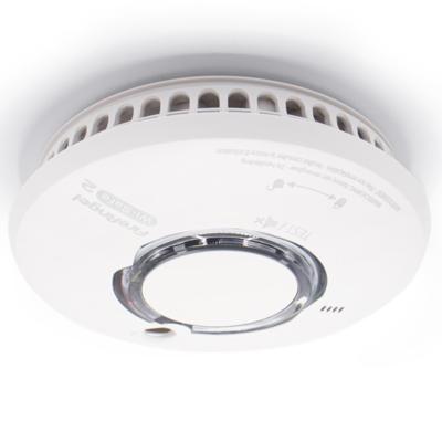 Rookmelder/ Hittemelder