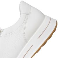 Ara 1224801 - alle - thumbnail