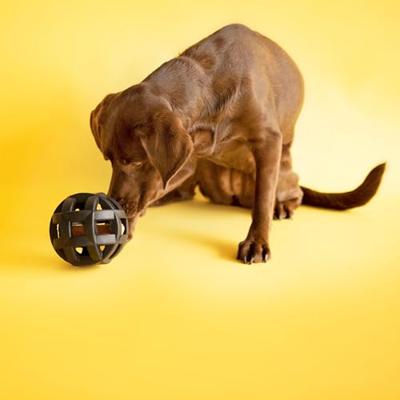 JW HOL-EE ROLLER ASSORTI 15X15X15 CM JW HOL-EE ROLLER ASSORTI 15X15X15 CM