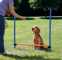 Trixie Fun Agility Horde hond - thumbnail