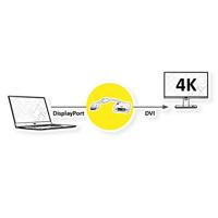 ROLINE 4K DisplayPort - DVI Adapter, DP Male-DVI Female - thumbnail