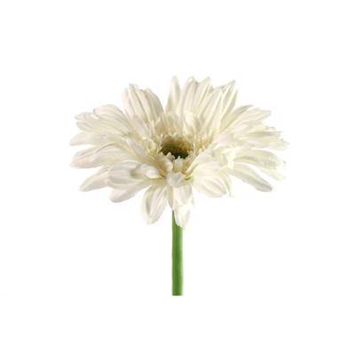 Decostar zijdebloem gerbera leanne 60 cm wit