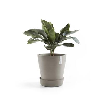 Ecopots Plantenschotel met Wielen Taupe Ø41,6cm Ecopots Plantenschotel met Wielen Taupe Ø41,6cm