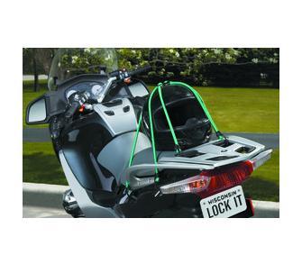 Masterlock Spider bungee with 6 legs 80cm - colour : greendouble reverse hook - 3105EURDAT