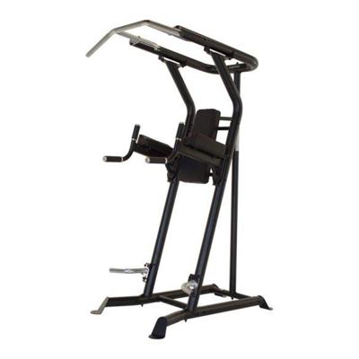 Inspire Fitness Vertical Knee Raise Power Tower
