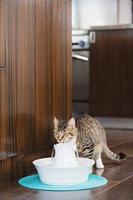 Avalon Petsafe drinkfontein met adapter wit - thumbnail