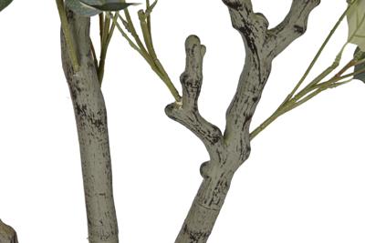 Boomstructuur Home ESPRIT Polyethyleen Cement Eucalyptus 80 x 80 x 220 cm