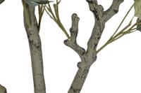 Boomstructuur Home ESPRIT Polyethyleen Cement Eucalyptus 80 x 80 x 220 cm - thumbnail