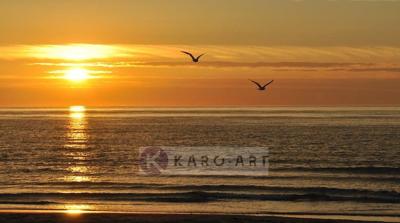 Schilderij - Prachtige zonsondergang, zeemeeuwen
