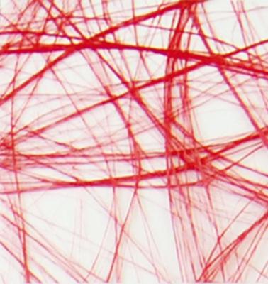 Vaessen Creative • sizoweb 5mx30cm in koker felrood