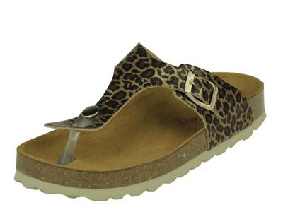 Develab Slipper