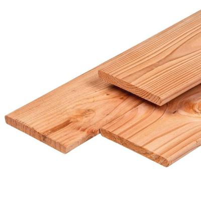 Plank douglas 1,6x14,0x195 cm Tuindeco - Tuindeco Plank douglas 1,6x14,0x195 cm Tuindeco - Tuindeco