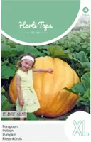 Zaden Pompoenen Atlantic Giant Hortitops - Hortitops - thumbnail