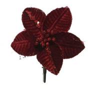Poinsettia fluweel burgundy 10 cm bordeaux - thumbnail