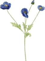 Cosmeasteel l61b10h10 cm d.blauw Countryfield - Countryfield - thumbnail