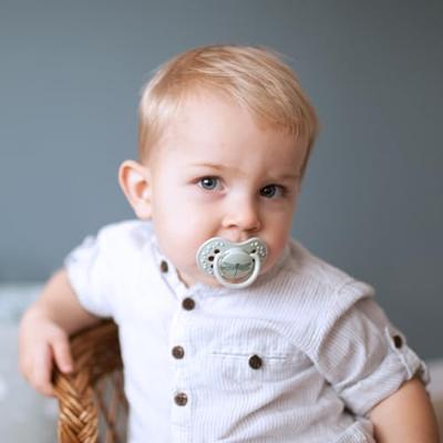 Difrax LOVI Dynamic Pacifier 18+ Months Botanic Blue Green - Fopspeen Difrax LOVI Dynamic Pacifier 18+ Months Botanic Blue Green - Fopspeen