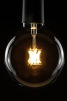 Segula 55685 LED-lamp Energielabel F (A - G) E27 Globe 6.5 W = 51 W Warmwit (Ø x l) 125 mm x 180 mm 1 stuk(s) - thumbnail