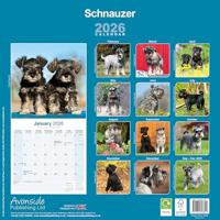Schnauzer Kalender 2026 - thumbnail