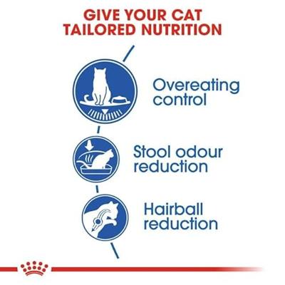 Royal Canin Indoor Appetite Control kattenvoer 3 x 4 kg
