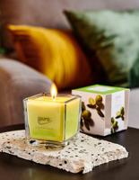 IPuro geurkaars lime light 125gr. - thumbnail