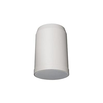 DAP HS-510P Hangende 100V ABS luidspreker 10W 5 inch