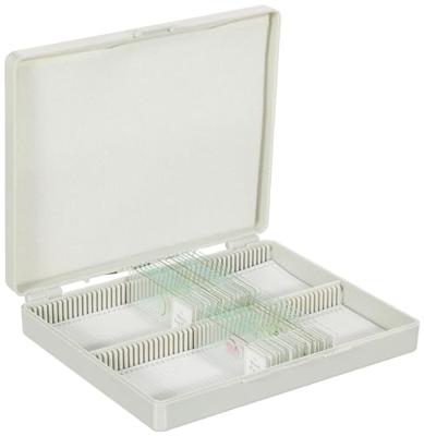 BRESSER Microscoop preparaten 30 stuks - Dieren