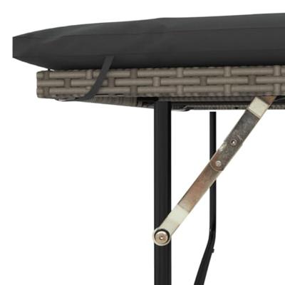 Tuinbank 2-zits met kussens poly rattan en acaciahout grijs