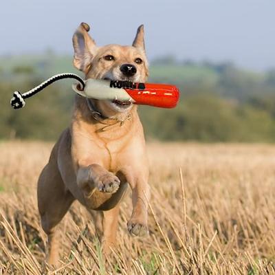 KONG WILD SHIELDZ TRAINING DUMMY ORANJE / WIT 48X7X7 CM - thumbnail