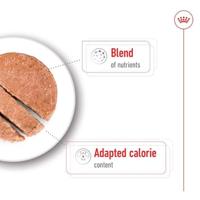 Royal Canin Mini Ageing 12+ | 12 x 195 g | Compleet voer voor kleine oudere en senior honden (tot 10 kg) | Vanaf 8 jaar | Kan de gezondheid van je hond bevorderen - thumbnail