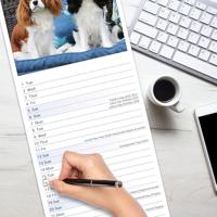 Cavalier King Charles Spaniel Kalender 2026 Slimline - thumbnail