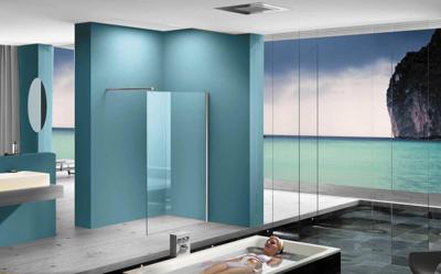 Eco inloopdouche 600 x 2000 x 8 mm nano helder glas/chroom Eco inloopdouche 600 x 2000 x 8 mm nano helder glas/chroom