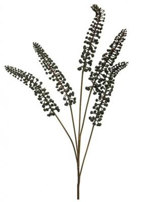 Phytolacca zwart 93cm