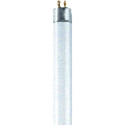 OSRAM HOMELIGHTING TL-lamp Energielabel: G (A - G) G13 30 W Koudwit 840 Buis (Ø x l) 26 mm x 908.8 mm 1 stuk(s)