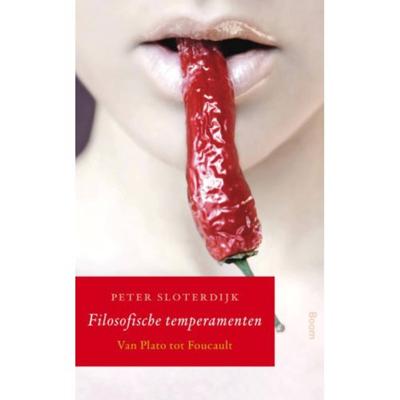 Filosofische temperamenten (Paperback)